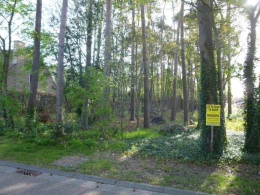 Première photo alternative du bien