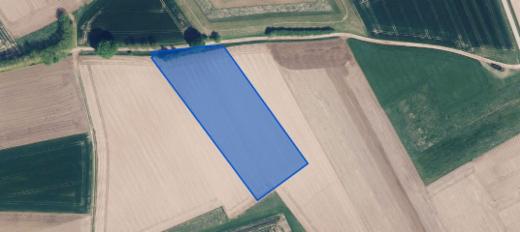 Image de présentation du bien n° 303470