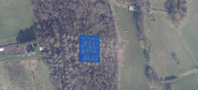 Image de présentation du bien n° 303482