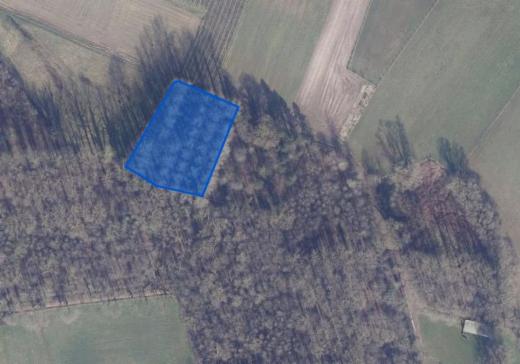 Image de présentation du bien n° 303494