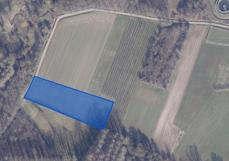 Image de présentation du bien n° 303495
