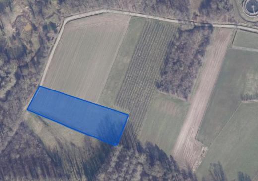 Image de présentation du bien n° 303495