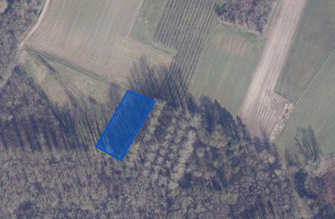 Image de présentation du bien n° 303497