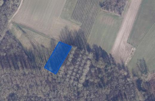 Image de présentation du bien n° 303497