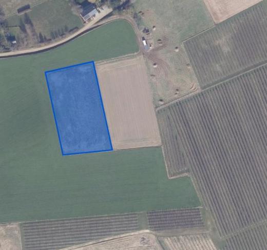 Image de présentation du bien n° 303502