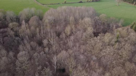 Seconde photo alternative du bien