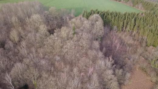 Troisième photo alternative du bien