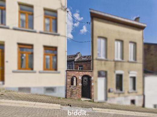 Première photo alternative du bien
