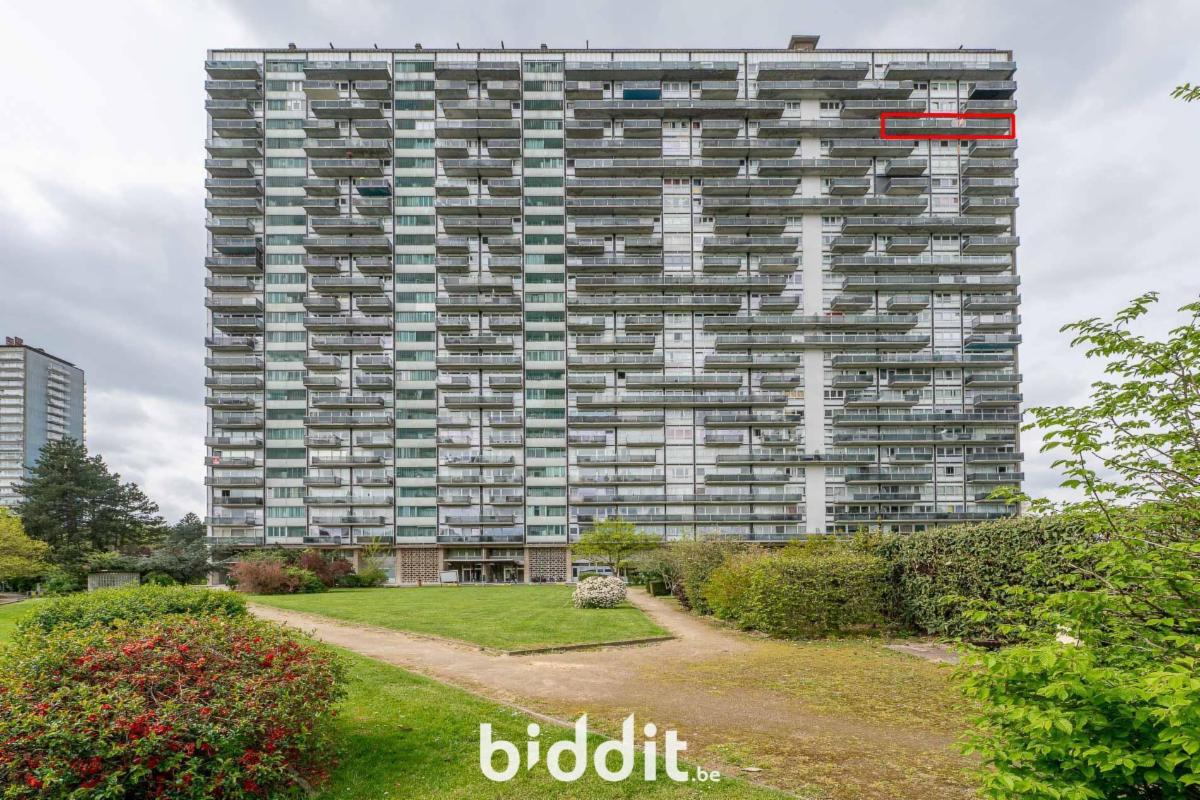 Image de présentation du bien n° 295245