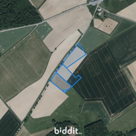 Image de présentation du bien n° 299449