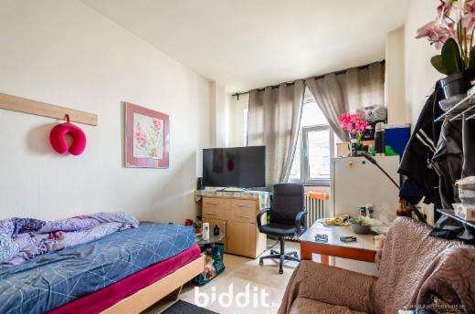 Troisième photo alternative du bien