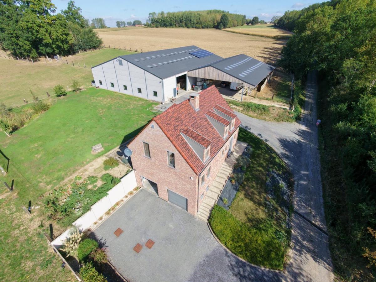 Image de présentation du bien n° 301852