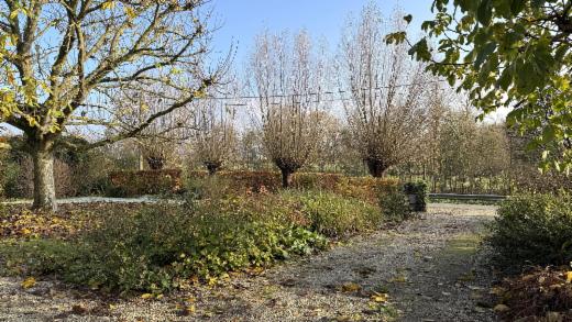 Troisième photo alternative du bien