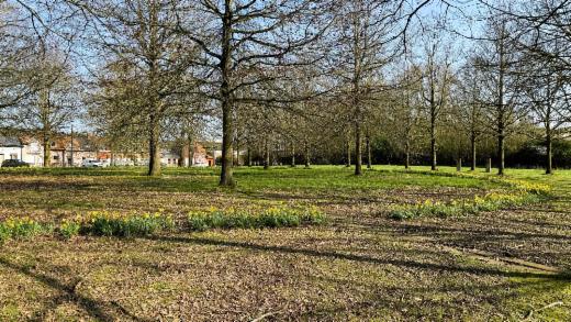 Première photo alternative du bien