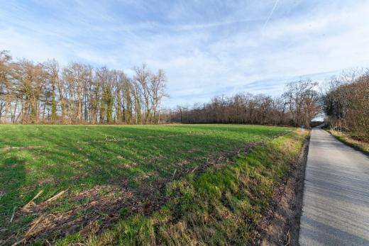 Première photo alternative du bien