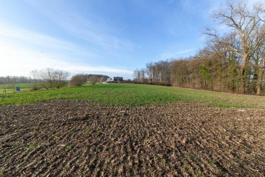 Troisième photo alternative du bien