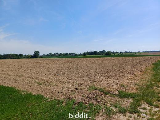 Image de présentation du bien n° 282887