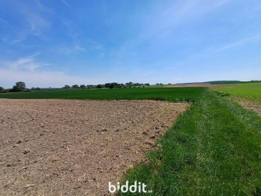 Première photo alternative du bien