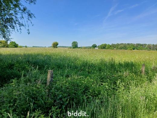 Image de présentation du bien n° 282897