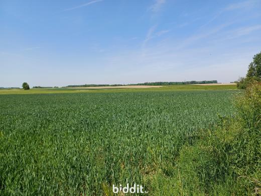 Image de présentation du bien n° 282949