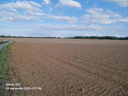 Image de présentation du bien n° 289527