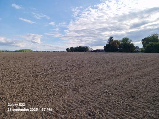 Première photo alternative du bien