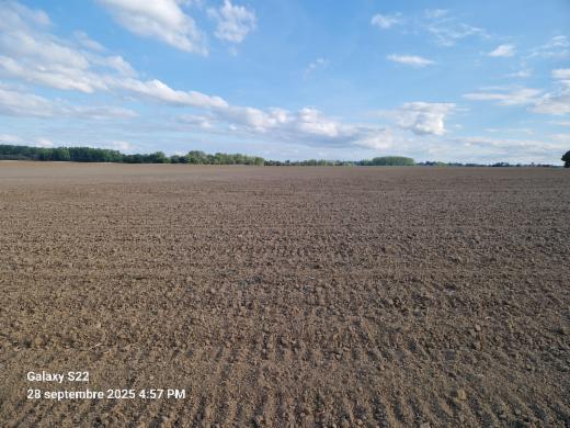 Troisième photo alternative du bien