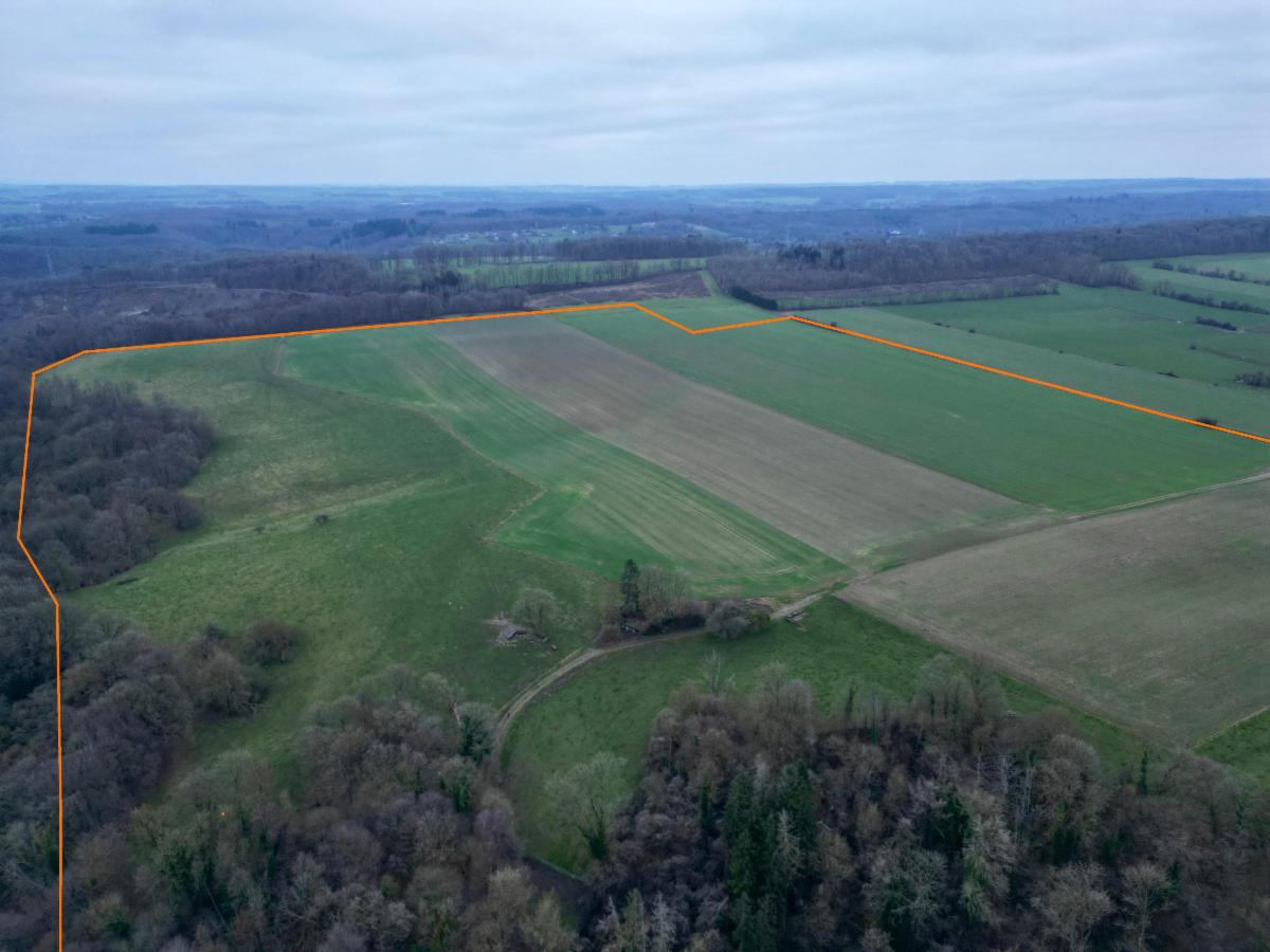 Image de présentation du bien n° 291632