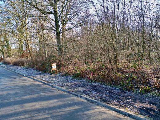 Image de présentation du bien n° 292406