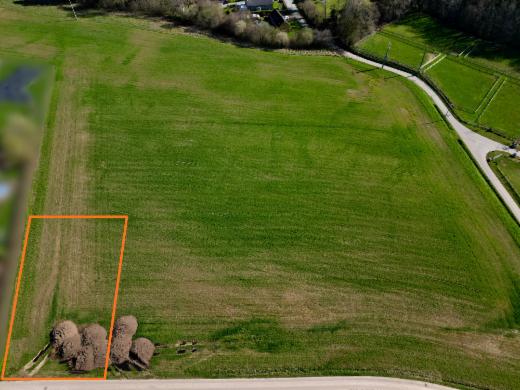 Image de présentation du bien n° 294460