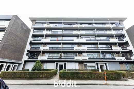 Image de présentation du bien n° 292965