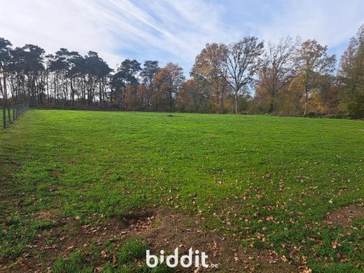 Image de présentation du bien n° 290424