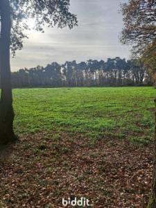 Première photo alternative du bien