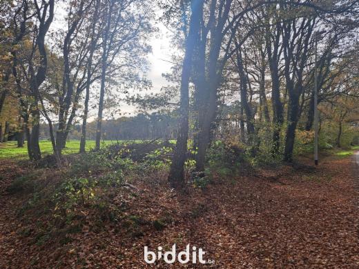 Seconde photo alternative du bien