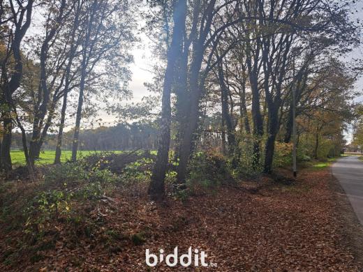 Troisième photo alternative du bien