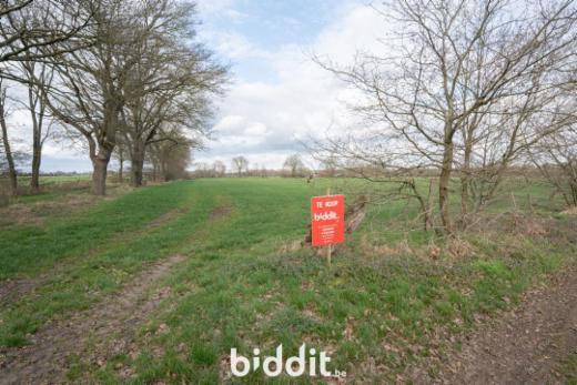 Image de présentation du bien n° 293807