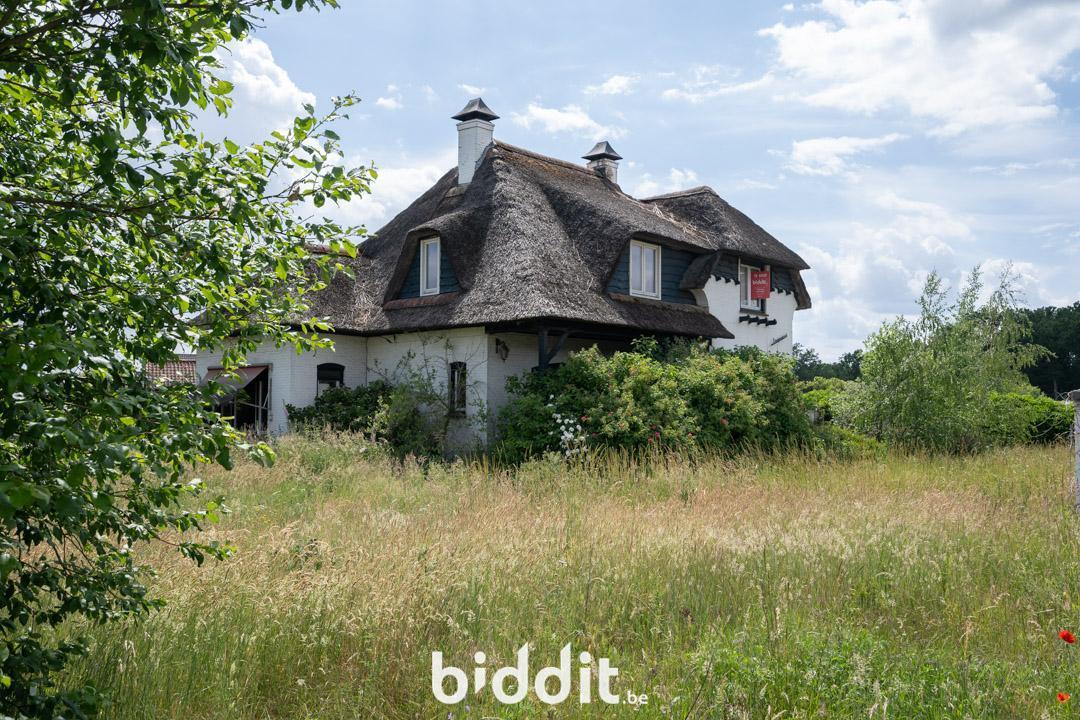 Image de présentation du bien n° 297623