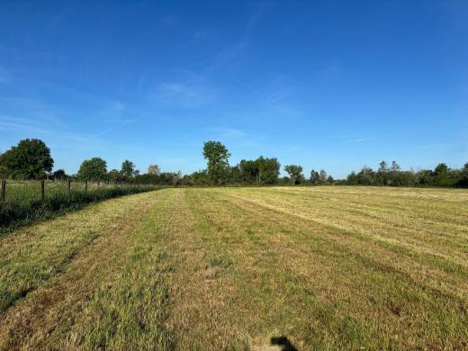 Image de présentation du bien n° 282840