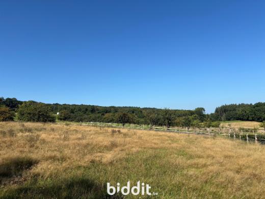 Image de présentation du bien n° 285881