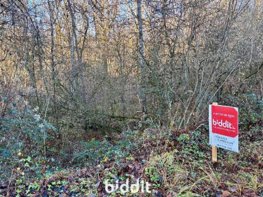 Image de présentation du bien n° 290440