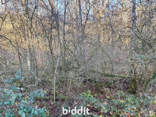 Troisième photo alternative du bien