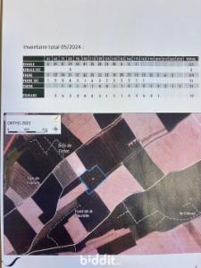 Première photo alternative du bien