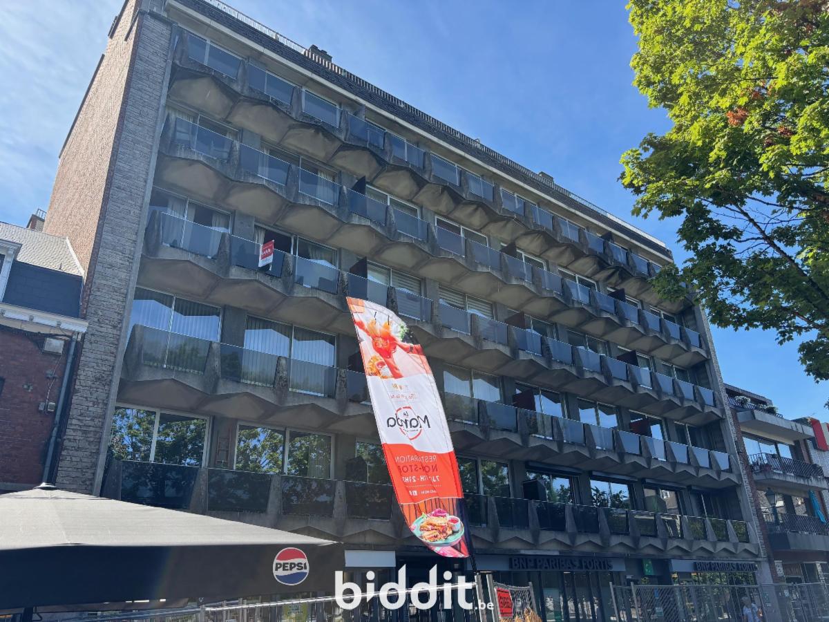 Image de présentation du bien n° 299480