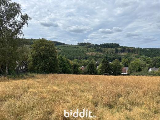 Image de présentation du bien n° 299494