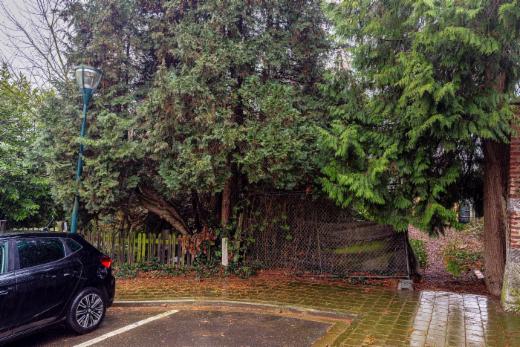 Troisième photo alternative du bien