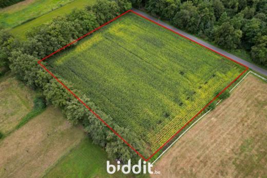 Image de présentation du bien n° 286372