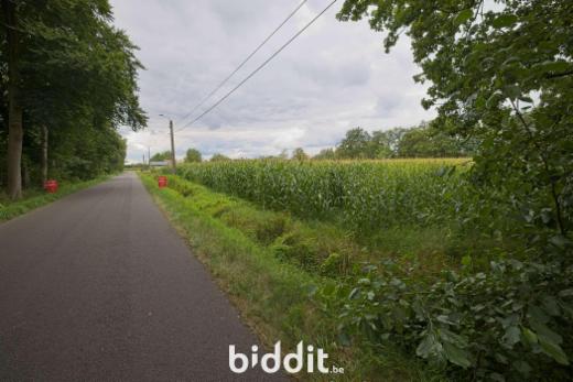 Première photo alternative du bien
