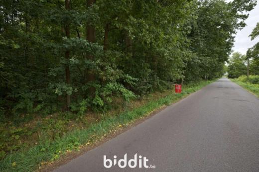 Première photo alternative du bien
