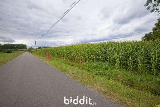 Première photo alternative du bien