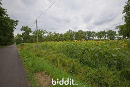 Première photo alternative du bien